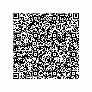 vCard 78113933780