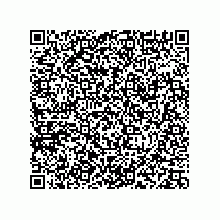 vCard 78113933781