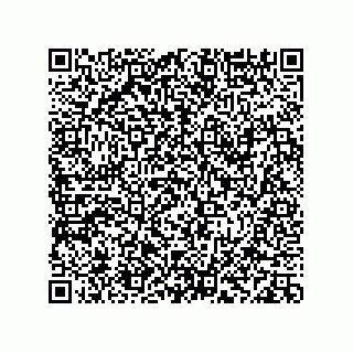 vCard 78113933785