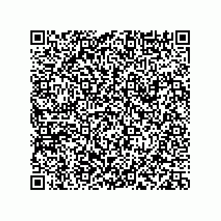 vCard 78113933786