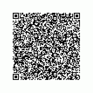 vCard 78113933787