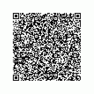 vCard 78113933789