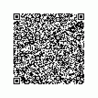 vCard 78113933790