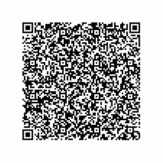 vCard 78113933791
