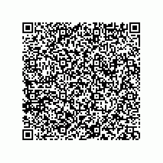 vCard 78113933795