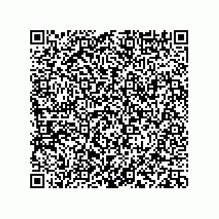 vCard 78113933798