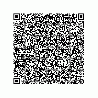 vCard 78113933799