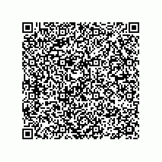 vCard 78113933800