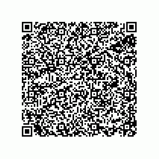 vCard 78113933801