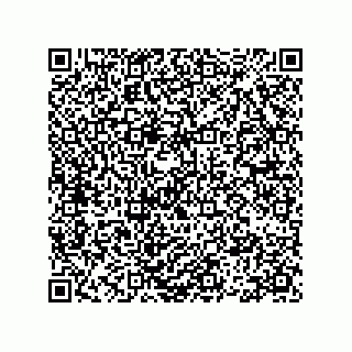 vCard 78113933802