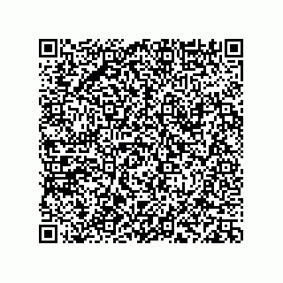 vCard 78113933803