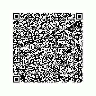 vCard 78113933804