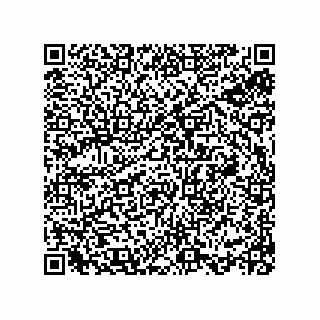 vCard 78113933805
