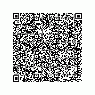 vCard 78113933806