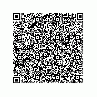 vCard 78113933807