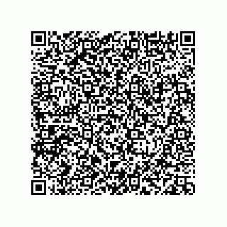 vCard 78113933808