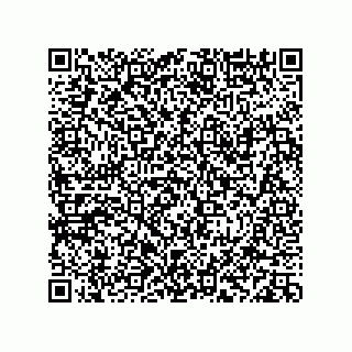 vCard 78113933809
