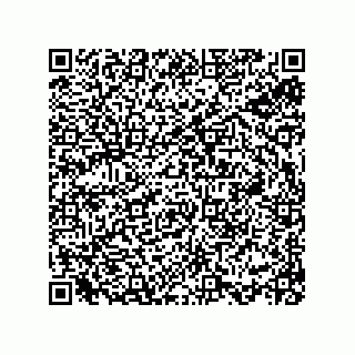 vCard 78113933810