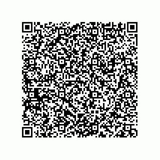 vCard 78113933811