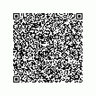 vCard 78113933812