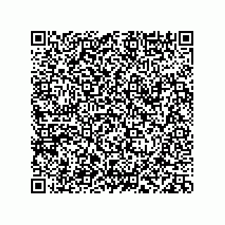 vCard 78113933813