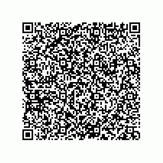 vCard 78113933814