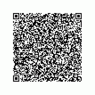 vCard 78113933815
