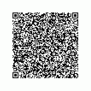 vCard 78113933817