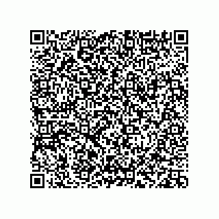 vCard 78113933818