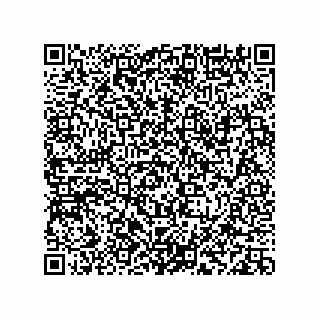 vCard 78113933819