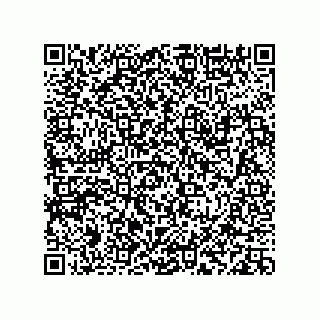 vCard 78113933821