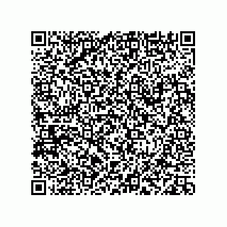 vCard 78113933822