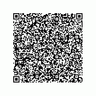 vCard 78113933824