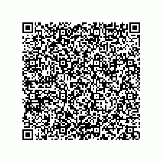 vCard 78113933825