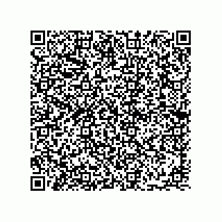 vCard 78113934131