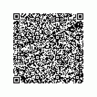 vCard 78113934141