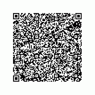 vCard 78113934161