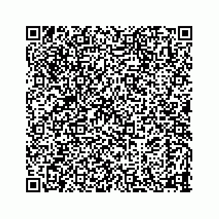 vCard 78114296100
