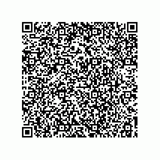 vCard 78115199101
