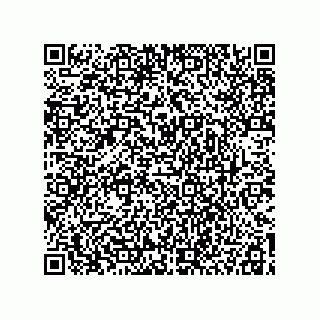 vCard 78115199103