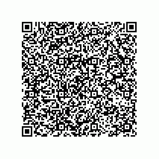 vCard 78115199131
