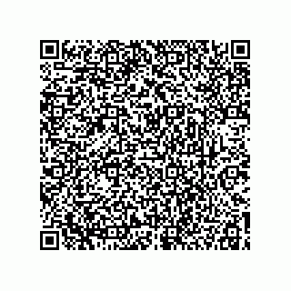 vCard 78115199133