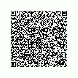 vCard 78115199153