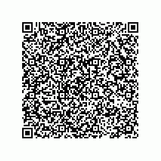 vCard 78115199163