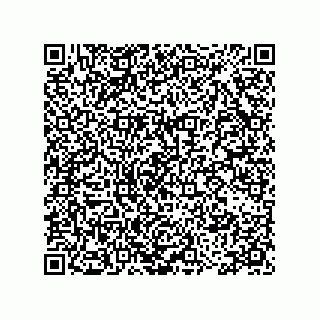 vCard 78115199173