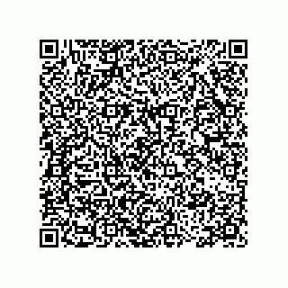vCard 78115199201