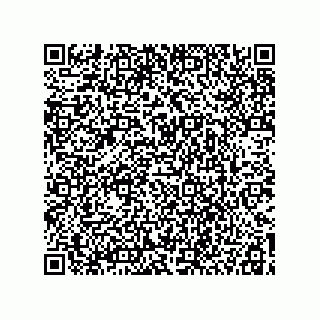 vCard 78115199207