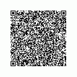 vCard 78115199209