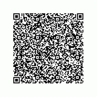 vCard 78115199240