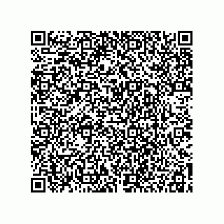 vCard 78115199251